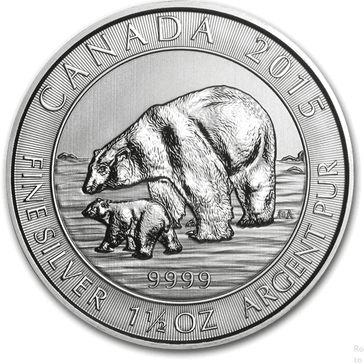 silver canada bear