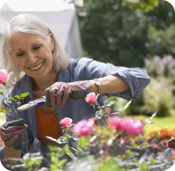 E9d5cbef96400d8c71b4313b57f8d7ae