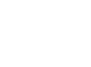 Fox 1