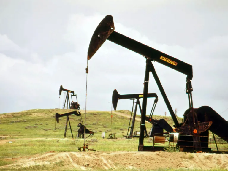 Blog Image Sizing (37)